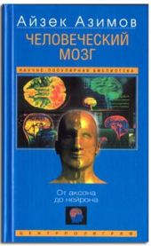 Человеческий мозг
