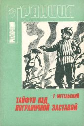 Тайфун над пограничной заставой