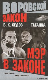 Мэр в законе