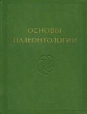 Моллюски - головоногие. Ч. I