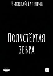 Полустёртая зебра. Сборник рассказов
