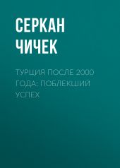 Турция после 2000 года: поблекший успех