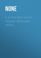 9. В птичьем мозге нашли звериные черты