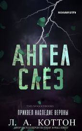 Ангел слёз