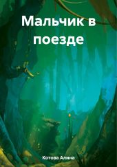 Мальчик в поезде