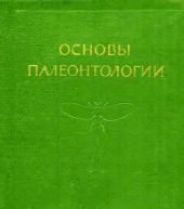 Членистоногие — трахейные и хелицеровые
