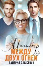 Магистр между двух Огней