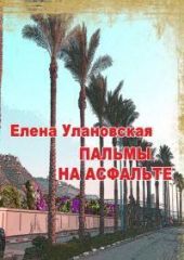 Пальмы на асфальте