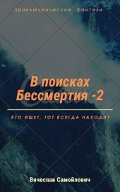 В поисках бессмертия. Том 2