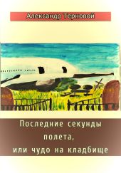 Последние секунды полета, или Чудо на кладбище