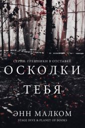 Осколки тебя