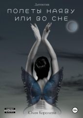 Полеты наяву или во сне. Детектив