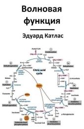 Волновая функция