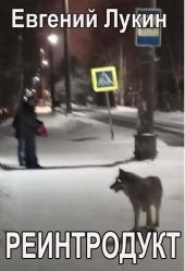 Реинтродукт