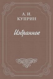 Медведи