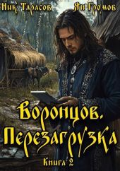 Воронцов. Перезагрузка. Книга 2
