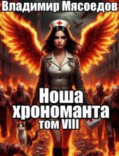 Ноша хрономанта 8