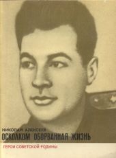Осколком оборванная жизнь