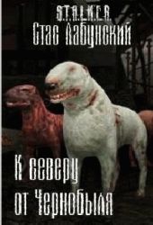К северу от Чернобыля