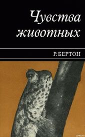 Чувства животных