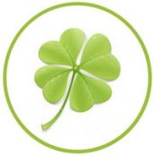 Trifolium Translate